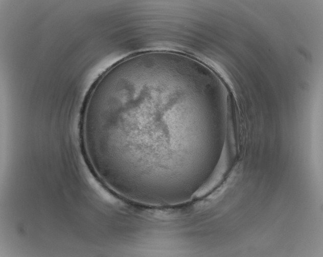 X0000115820995200911131441