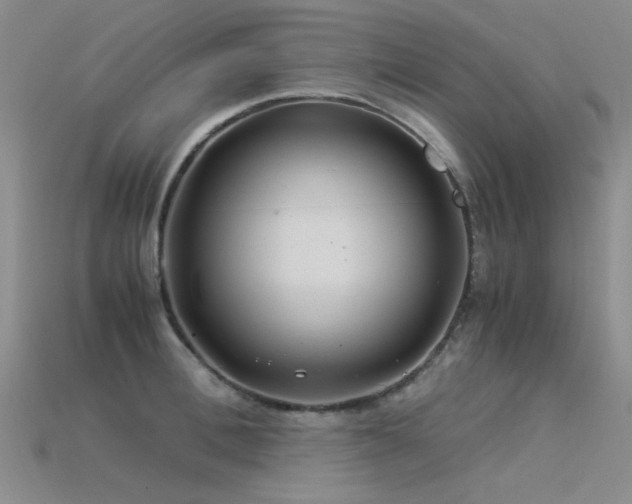 X0000115820996200911131441