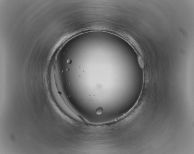 X0000115820997200911131441