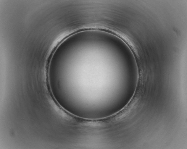 X0000115820998200911131441