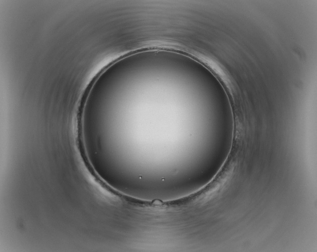 X0000115820999200911131441