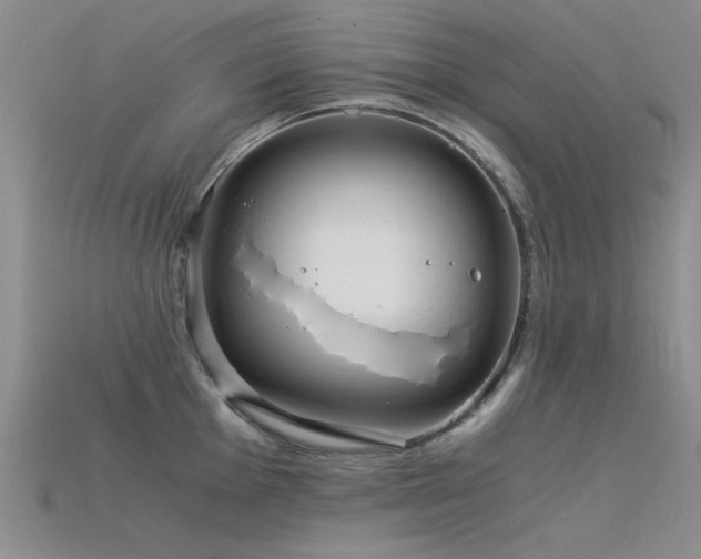 X0000115821001200911131440