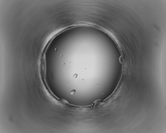 X0000115821003200911131440