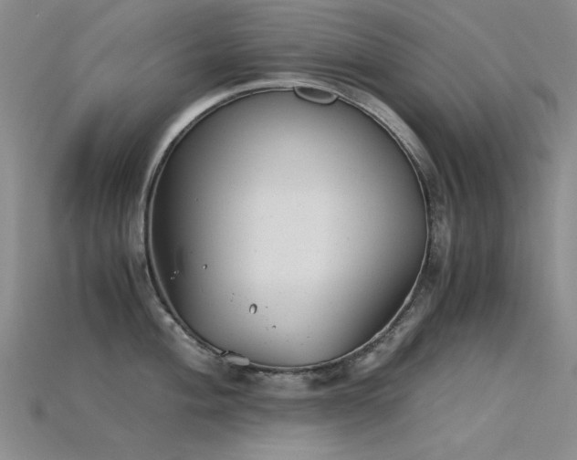 X0000115821004200911131440