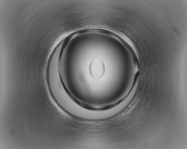 X0000115821005200911131440