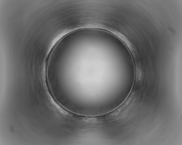 X0000115821006200911131440