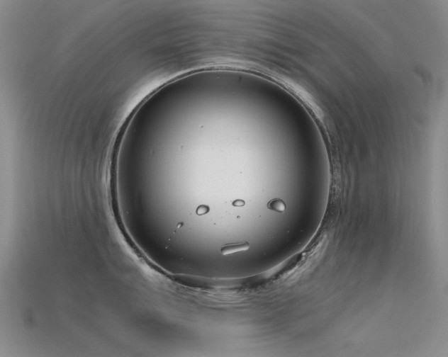 X0000115821007200911131440