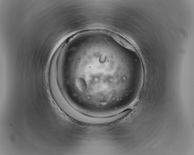 X0000115821008200911131440