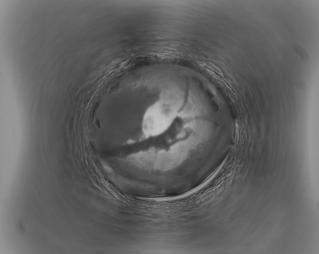 X0000115821009200911131440