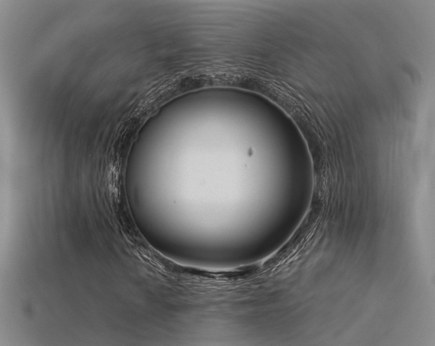 X0000115821010200911131440