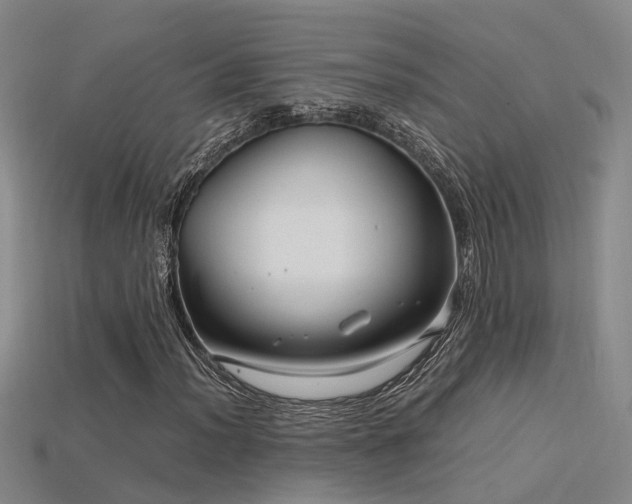 X0000115821012200911131440