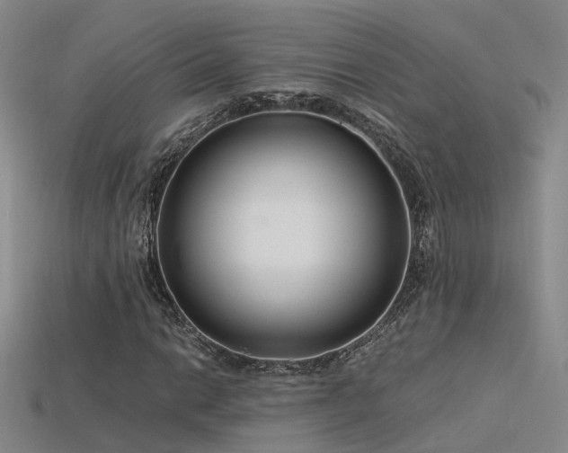 X0000115821014200911131440