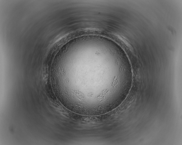 X0000115821015200911131440