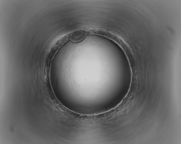 X0000115821016200911131440