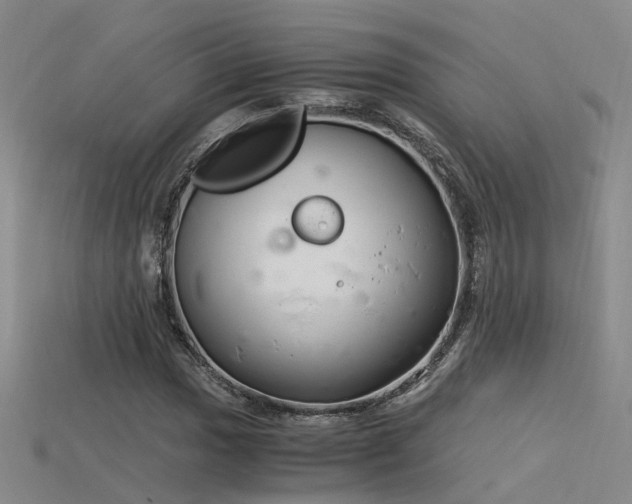 X0000115821017200911131440