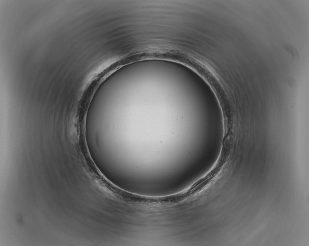 X0000115821018200911131440