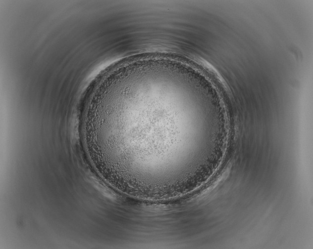 X0000115821019200911131440