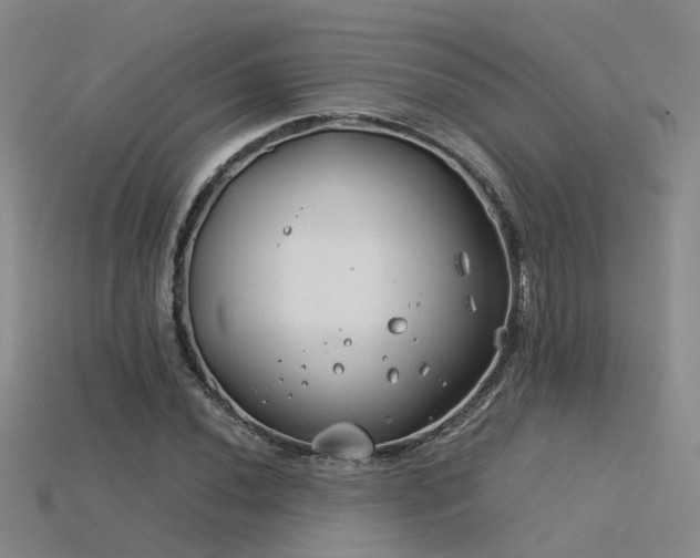 X0000115821020200911131440