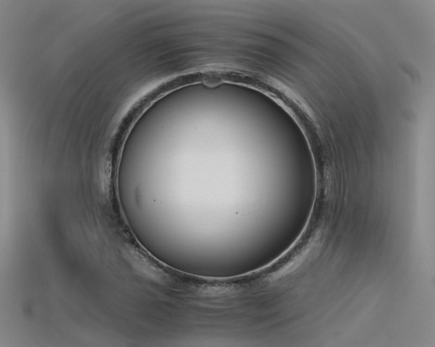 X0000115821021200911131440