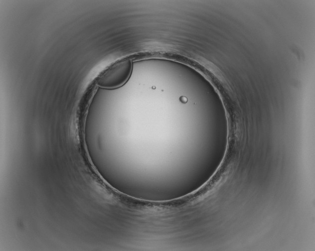 X0000115821022200911131440