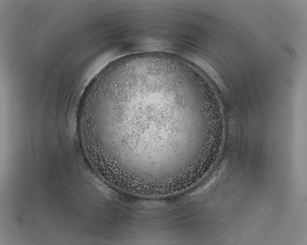 X0000115821023200911131440