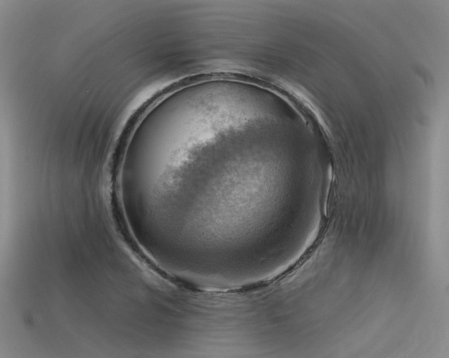 X0000115821024200911131440