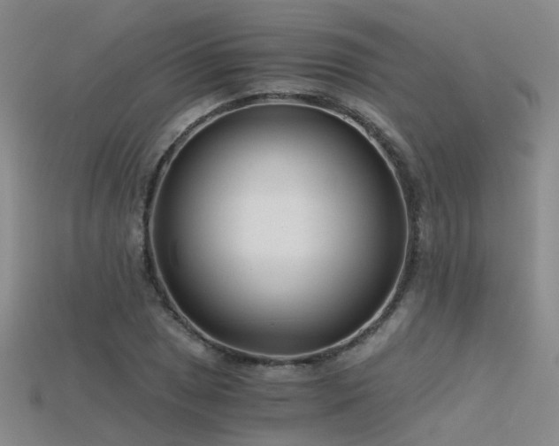 X0000115821025200911131440