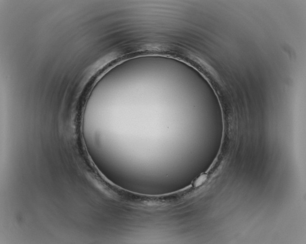 X0000115821026200911131440