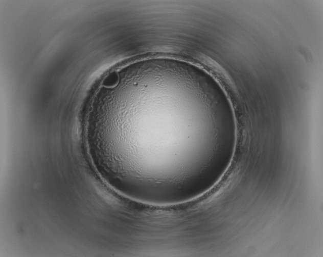 X0000115821027200911131440