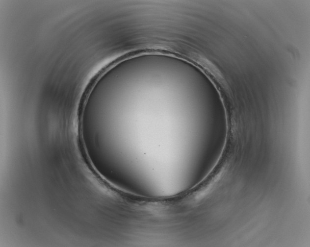 X0000115821028200911131440