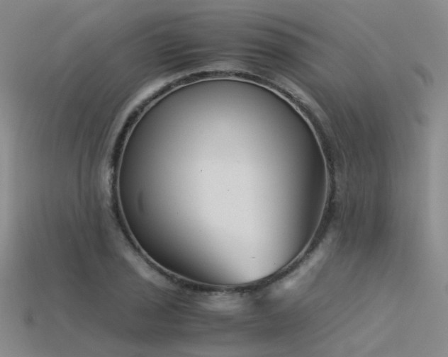 X0000115821029200911131440