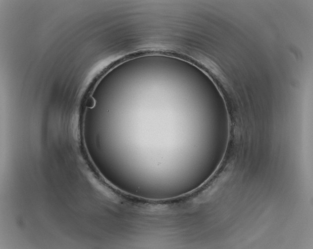 X0000115821030200911131440