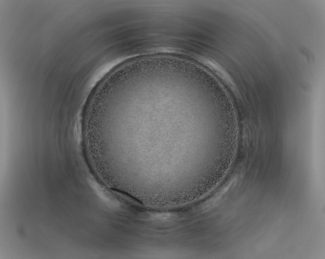 X0000115821031200911131440