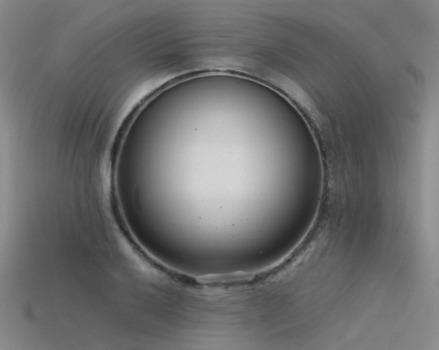 X0000115821032200911131440