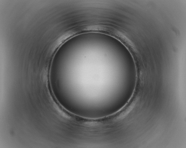 X0000115821033200911131440