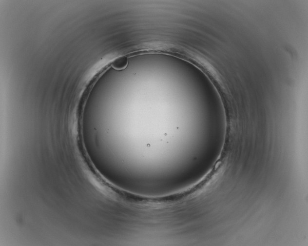 X0000115821034200911131440