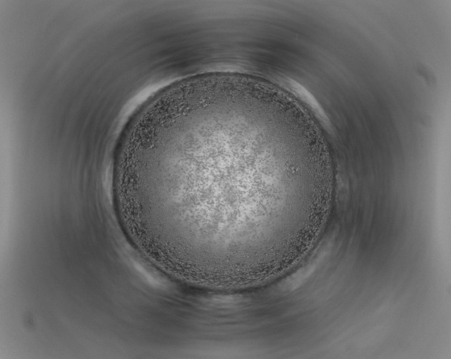 X0000115821035200911131440