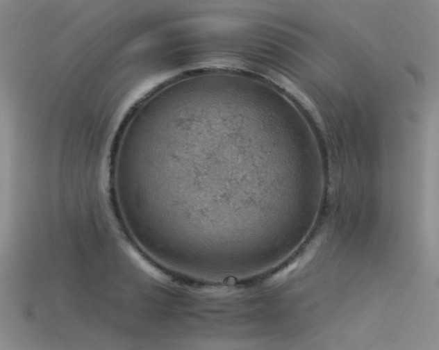 X0000115821037200911131440