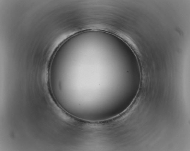 X0000115821040200911131440