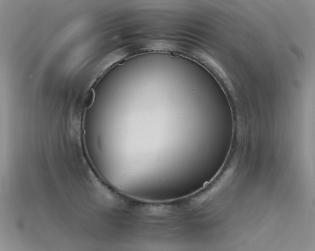 X0000115821041200911131440