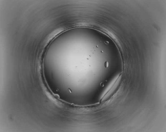 X0000115821042200911131440