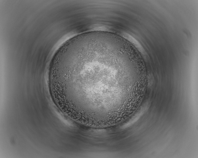 X0000115821043200911131440