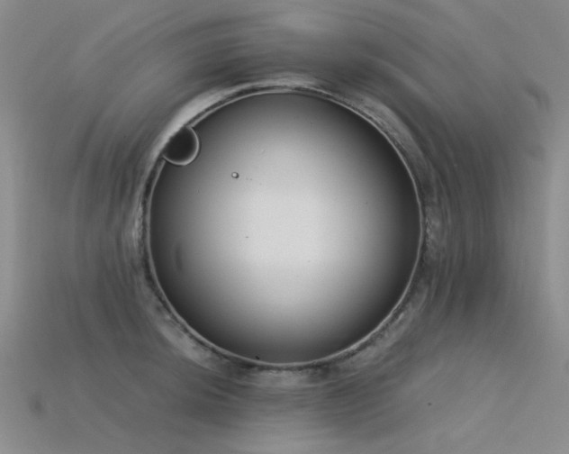 X0000115821044200911131440