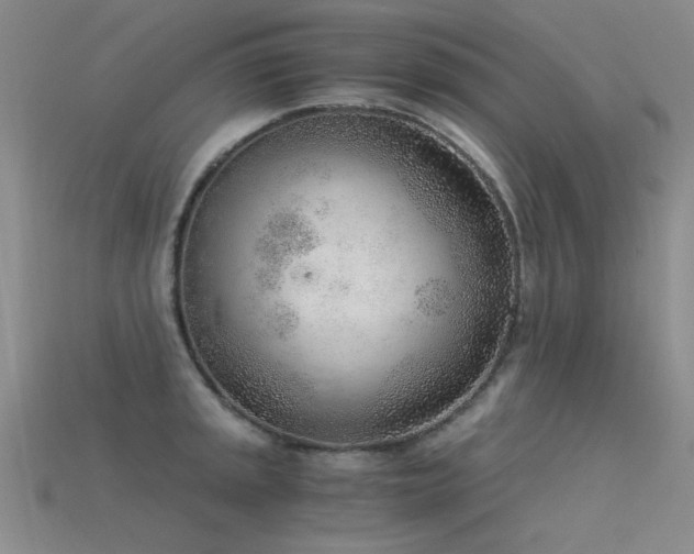 X0000115821045200911131440