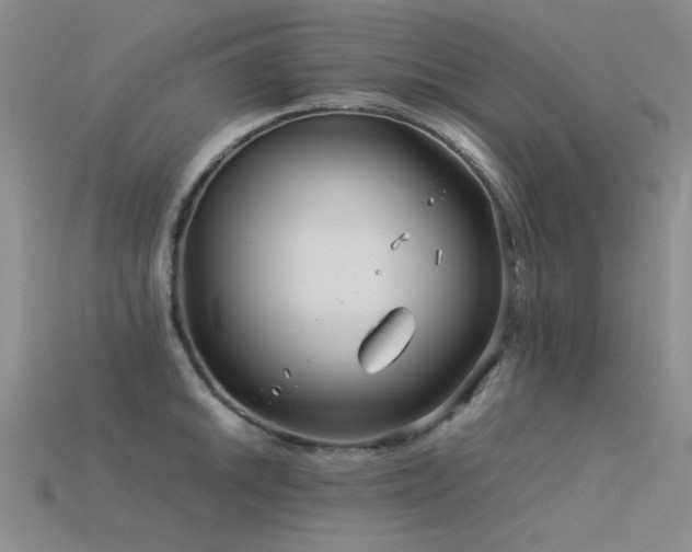 X0000115821046200911131440