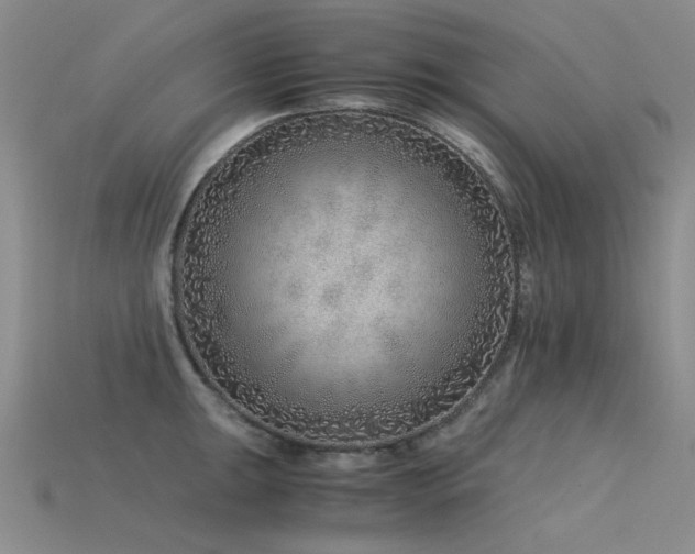 X0000115821047200911131440