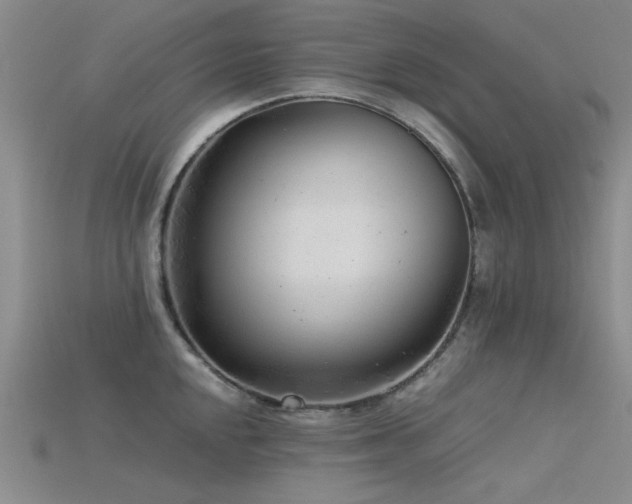 X0000115821048200911131440