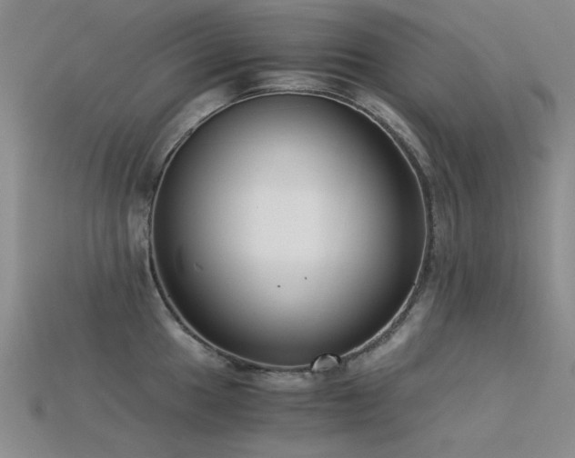 X0000115821049200911131440