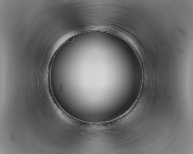 X0000115821050200911131440