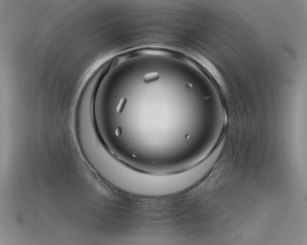 X0000115821051200911131440